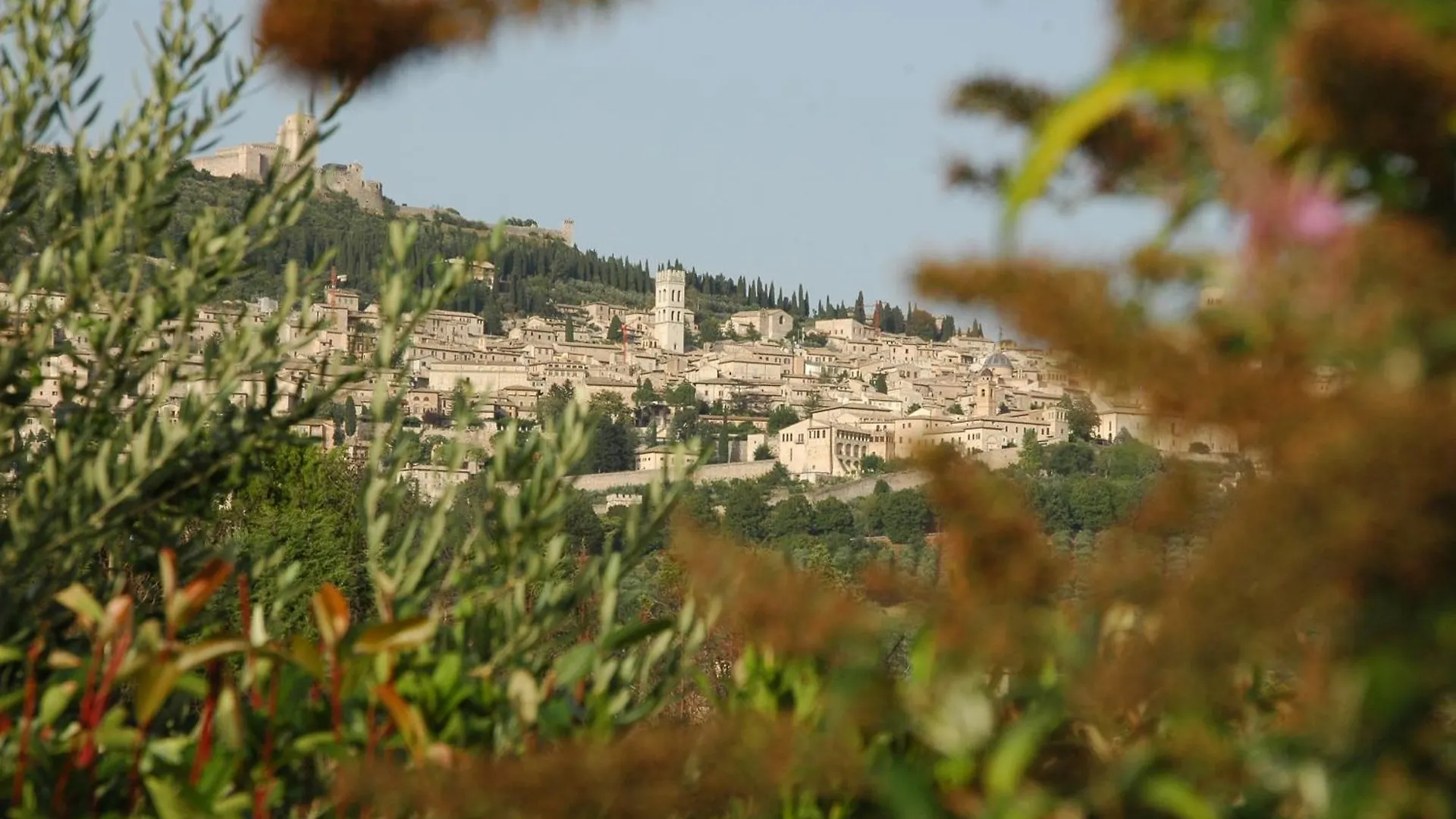 Il Podere Del Falco Guest House Santa Maria Degli Angeli  0*, Assisi Italy