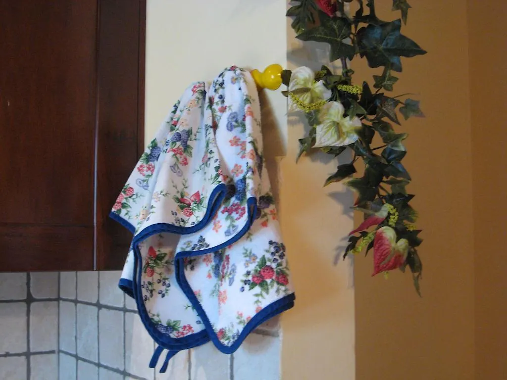 Il Podere Del Falco Guest House Santa Maria Degli Angeli  Italy